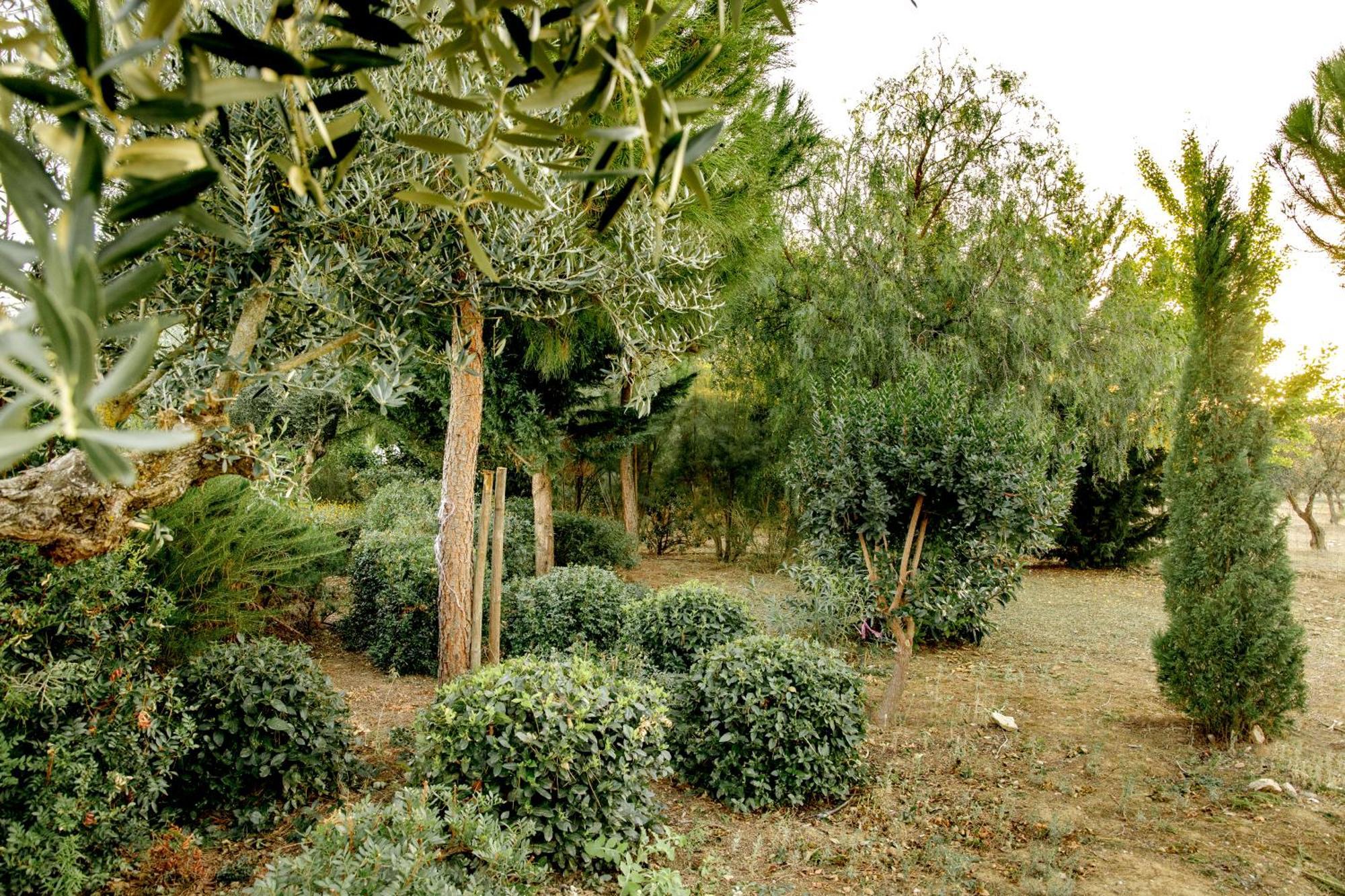Willa Monte Da Hortinha Estremoz Zewnętrze zdjęcie
